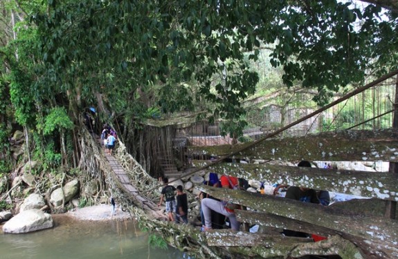 Jembatan Akar Bayang merupakan jembatang yang menghubungkan Desa Pulut - pulut dengan Desa Lubuk Silau