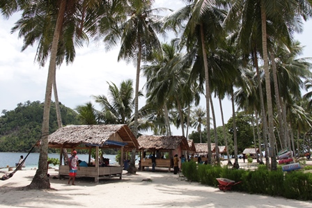 Pohon kelapa tumbuh subur di Pulau Pasumpahan, ada rambu hati - hati kelapa jatuh