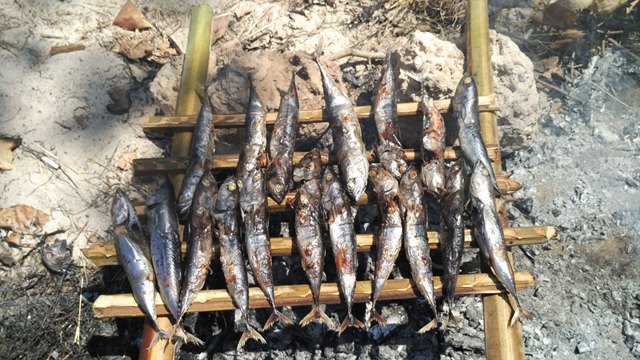 Ikan tongkol asap sebagai lauk makan siang kami di Pulau Rutong
