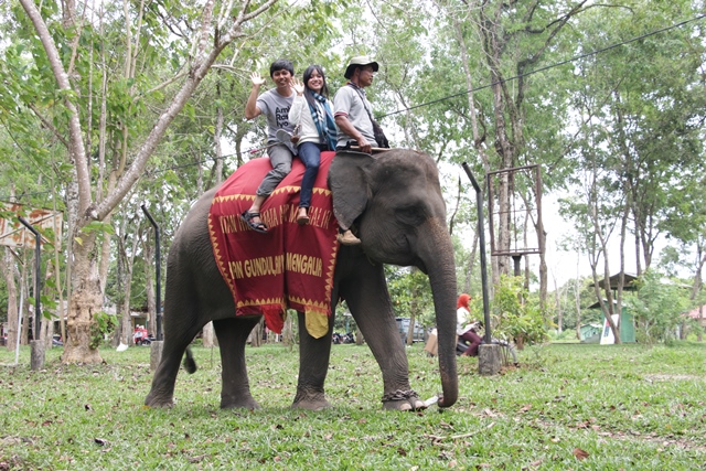 Menunggangi gajah di Taman Nasional Way Kambas, Saya yang motret