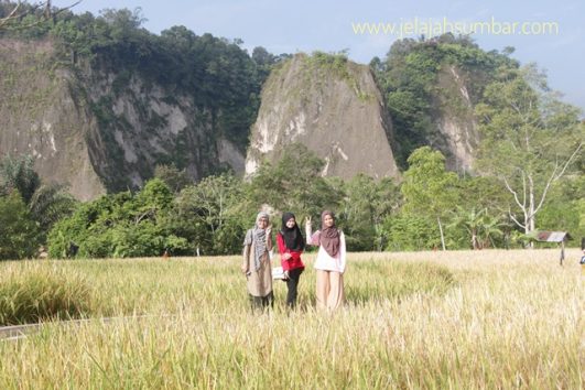 Ngarai Sianok Patahan Lempeng Sumatra Yang Amat Elok